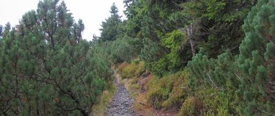 Jelení studánka ↔ Alfrédka, rozc.
