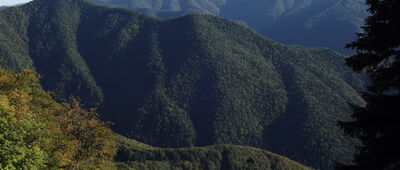 Lysec ↔ Malý Lysec, rázc. [Z tyłu Czarny Kamień, Ploská, Boryszow]