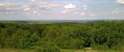 Jaworsko [Jaworsko - Widok na Tarnów i Górę Św. Marcina]