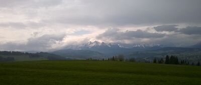 Czarna Góra (Litwinka) [Litwinka - widok na Tatry Bielskie i kawałek Wysokich]