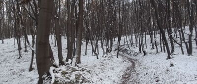 Podgórki Tynieckie ↔ Tyniec, Bogucianka [Pod Guminkiem]