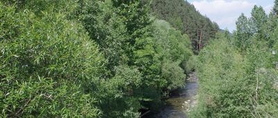 Ochotnica Górna, skrzyżowanie ↔ Ochotnica Dolna, skrzyżowanie [Potok Ochotnica]