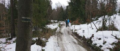 Skrzyżowanie pod Luboniem Małym ↔ Rozejście szlaków