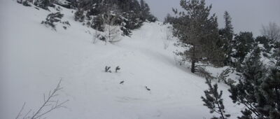 Pod Slavkovským štítom ↔ Slavkovská vyhliadka