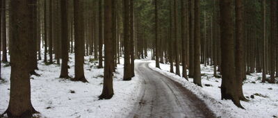 Babí Vrch, rozc. ↔ U Slavíče