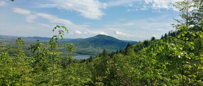 Pod Bujakowską Górą [Beskid Mały - niebieskim szlakiem z Kóz do Porąbki]