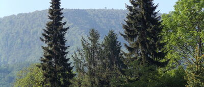 Ustroń, dworzec kolejowy ↔ Ustroń, ul. Grażyny