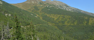 Kološňa ↔ Rázcetnik na Krúpove sedlo