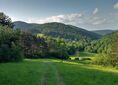 Rozejście szlaków ↔ Ożenna [Beskid Niski - zielonym szlakiem z Wysokiego do Krempnej]