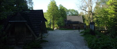 Gronik