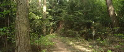 Mały Ferdel ↔ Pod Ferdelem