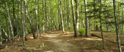 Mały Ferdel ↔ Pod Ferdelem