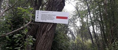 Skawa ↔ Pod Zbójecką Górą [rabka]