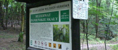 Las Wolski, Panieńskie Skały [Panieńskie Skały]