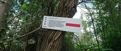 Skawa ↔ Pod Zbójecką Górą [Informacja o zamkniętym szlaku czerwonym]