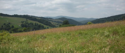 Wojkowa ↔ Nad Wojkową [w tle Jaworzyna Krynicka]