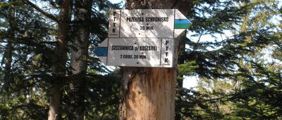 Skrzyżowanie pod Przehybą