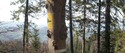 Skrzyżowanie pod Przehybą