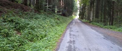 Údolí Velké Smradlavy, rozc. ↔ Hluchanka