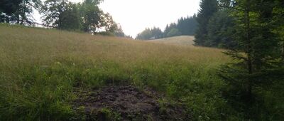 Údolí Velké Smradlavy, rozc. ↔ Hluchanka