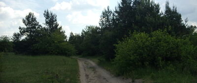 Częstochowa, ul. Brzyszowska ↔ Częstochowa, Most Rewolucji 1905 roku