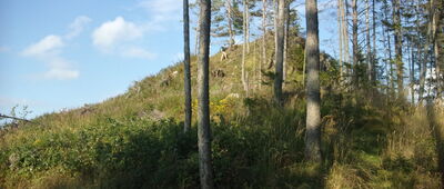 Pravnáč, rázc. ↔ Liptovská Anna