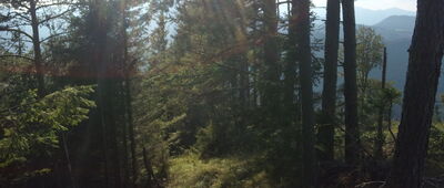 Pravnáč, rázc. ↔ Liptovská Anna