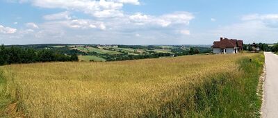 Rezerwat Góra Sieradowska [Po wyjściu z rezerwatu Góra Sieradowska w kierunku wsi Parcele]