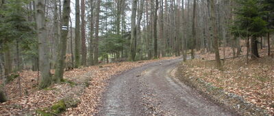 Iwkowa, granica ↔ Dolina Piekarskiego Potoku, rozejście szlaków