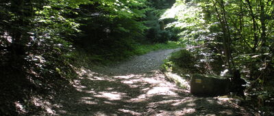 Rozejście szlaków ↔ Pod Trzema Kopcami (Pomierki)