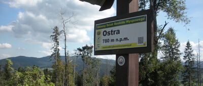 Ostra