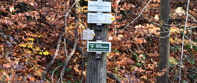 Tyra, rozc. ↔ Biernač