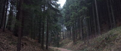 Grzędy ↔ Rozejście szlaków