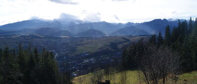 Rafaczańska Grapa [Widok na Zakopane i Tatry]