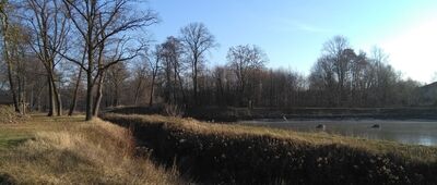 Lipków ↔ Lipków, cmentarz [park przy kościele w Lipkowie]