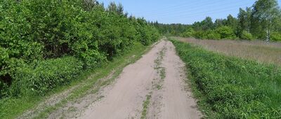 Dąbrowa ↔ Dąbrowa Leśna, granica parku narodowego [łąka koło Dąbrowy Leśnej]