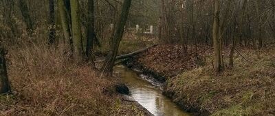 Lipków [Struga - strumień przepływający przez Lipków]