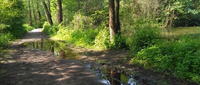 Truskawska Droga ↔ Truskaw, skrzyżowanie szlaków zółty / czarny [żółty szlak z Truskawia]