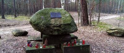 Kamień Orlika [czarny szlak Palmiry Cmentarz - Janówek: Kamień Orlika]