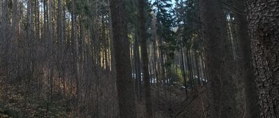 Výchoziště lyžařských stop ↔ Bobek