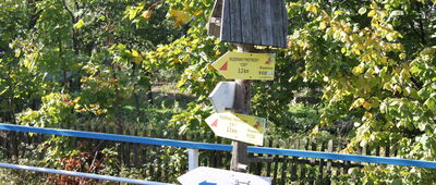 Brzeźnica [Szlakowskazy ścieżki dydaktycznej prowadzącej do rezerwatu "Cisy" w centrum Brzeźnicy. 9 września 2011 r.]