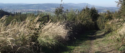 Hostašovice, rozc. ↔ Trojačka, rozc. [Valašské Meziříči z grzbietu Oprchlice]