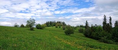 Gliczarów Dolny, Gałowie ↔ Gliczarów Dolny, Gile [Widok ze szlaku]