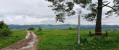 Pod Niskim Wierchem [Skrzyżowanie ścieżek niebieskiej i zielonej.]