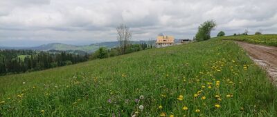Bukowina Tatrzańska, Klin, odejście zielonej ścieżki spacerowej ↔ Koziniec [Widoki z czerwonej ścieżki spacerowej]