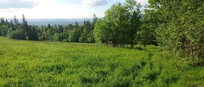 Rozejście szlaków ↔ Kobylarzówka [Czerwona ścieżka w okolicach połączenia z niebieską to prawdziwa tajemnica. Można się domyślać, że wiedzie gdzieś wzdłuż drzew, ale oznaczenia tam nie ma.]