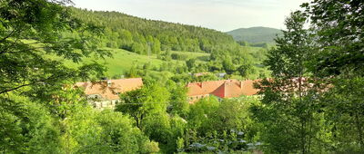 Rozejście szlaków ↔ Wałbrzych, ul. Świdnicka