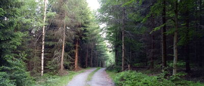 Rozdroże pod Porębem, południe ↔ Rozdroże pod Porębem, północ