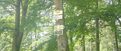 U Sedmi cest ↔ Vojtíškov, penzion Sport