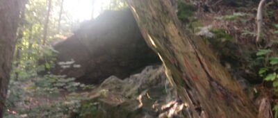 Park Henrykowski ↔ Skrzyżowanie nad Zuzanką